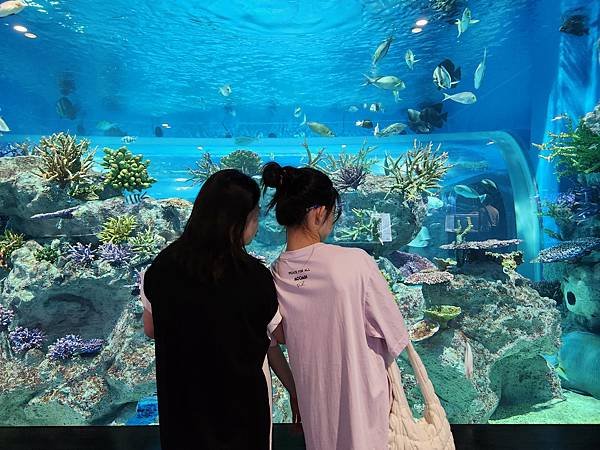 日本沖縄県iias沖縄豊崎：DMMかりゆし水族館 (115).jpg