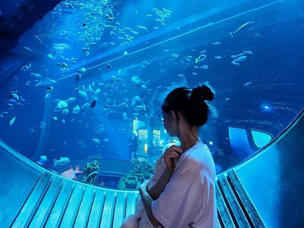 日本沖縄県iias沖縄豊崎：DMMかりゆし水族館 (123).jpg