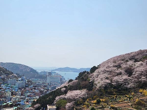 亞亞的甘川洞文化村 (36).jpg