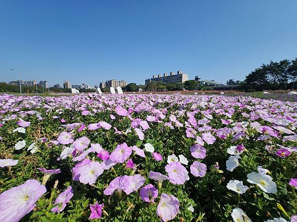 亞拔的慢跑：古亭河濱公園 (8).jpg