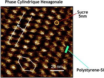 原子力顯微鏡圖像顯示，含糖聚合物（glycopolymer）經納米組織化，轉化為糖缸（sugar cylinders），這是在含矽聚苯乙烯矩陣（polystyrene matrix）中發生的。來源：法國國家科學研究中心