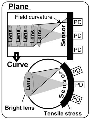 curvediagramhalfcolumn-1402453918753