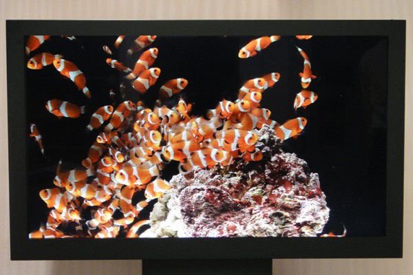 sony-3d-display