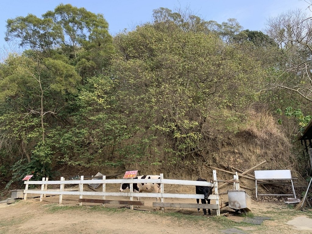 親子玩彰化｜大山休閒牧場＊彰化花壇