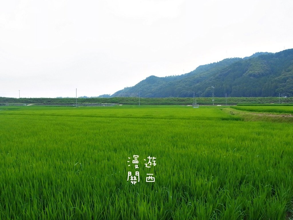 慢遊關西(6)京都車站至嵐山，搭乘嵯峨野觀光鐵道/嵯峨野觀光