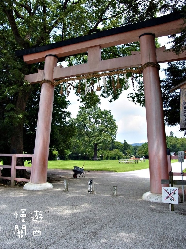 R0030490-1-003.JPG