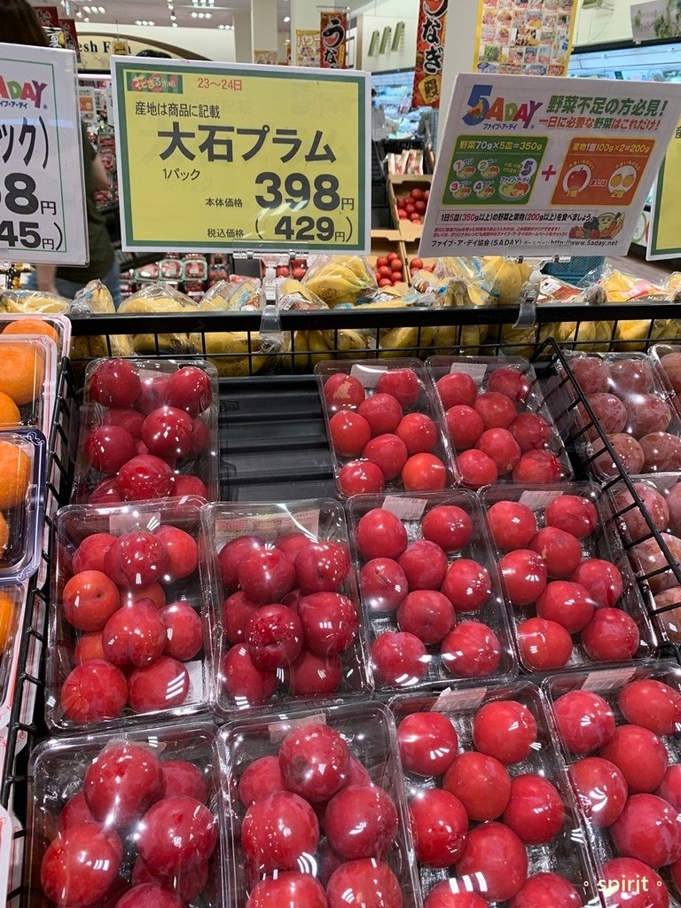 北海道親子夏日遊記(17)｜旭川藝術酒店/ 旭川 Art H