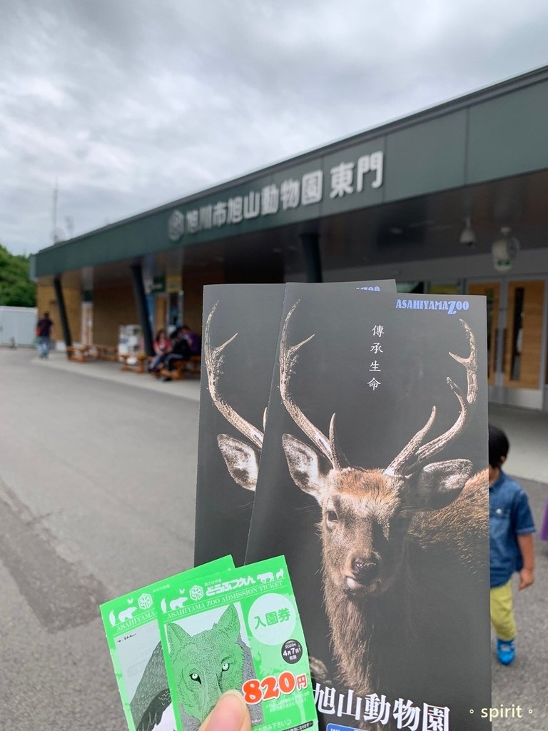 北海道親子夏日遊記(16)｜旭川景點－旭山動物園