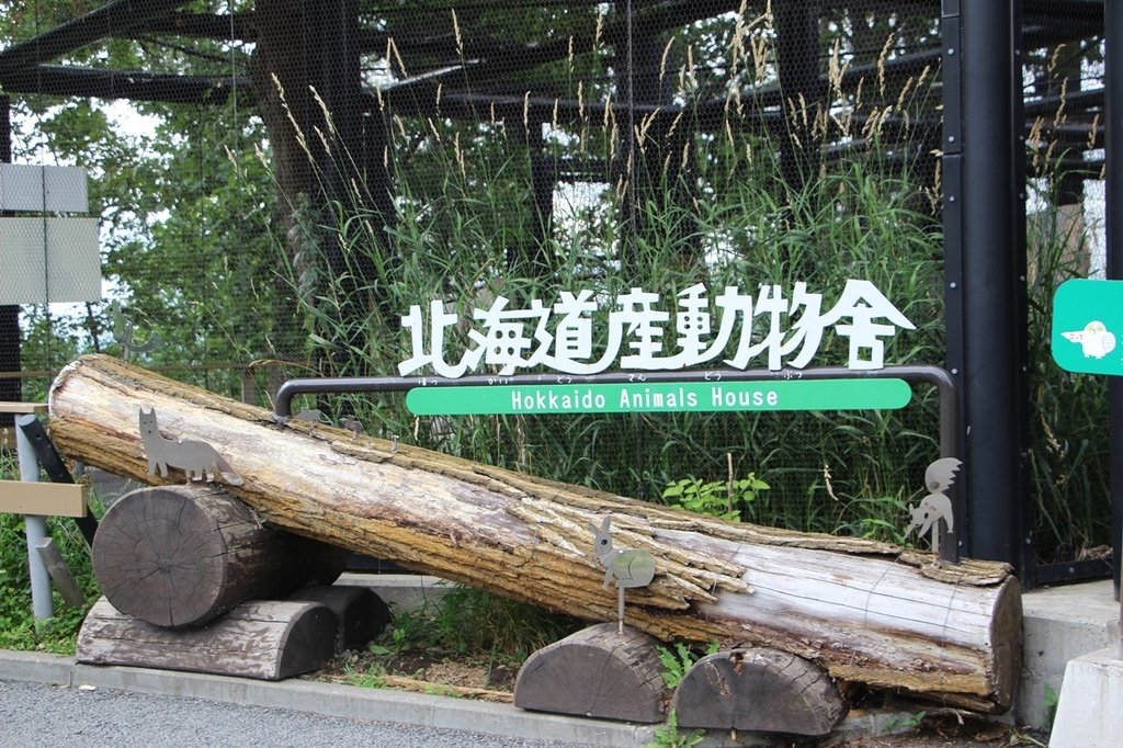 北海道親子夏日遊記(16)｜旭川景點－旭山動物園