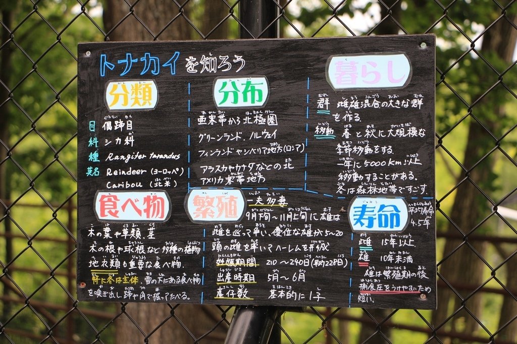 北海道親子夏日遊記(16)｜旭川景點－旭山動物園