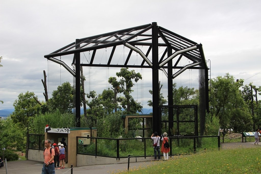 北海道親子夏日遊記(16)｜旭川景點－旭山動物園