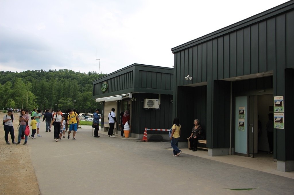 北海道親子夏日遊記(23)｜美瑛景點－白金 青池 / 白金青