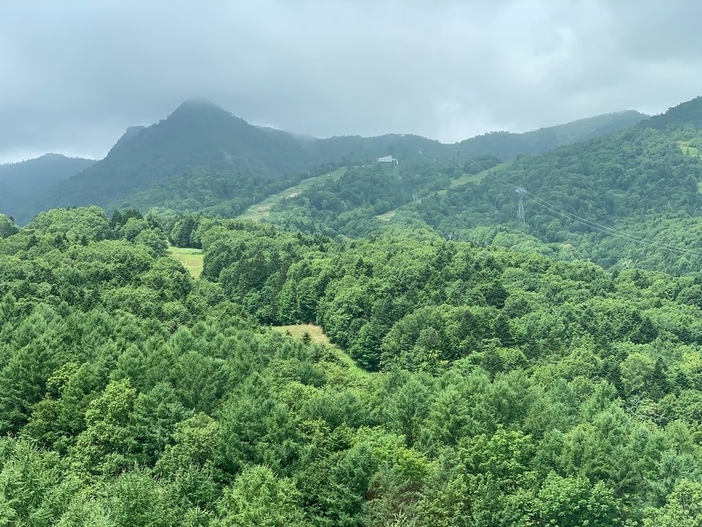 北海道親子夏日遊記(26)｜富良野住宿－新富良野王子大飯店、