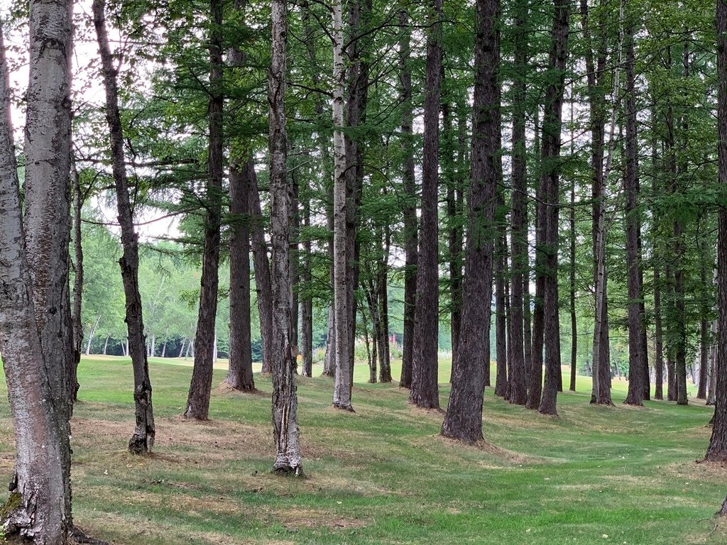 北海道親子夏日遊記(26)｜富良野住宿－新富良野王子大飯店、