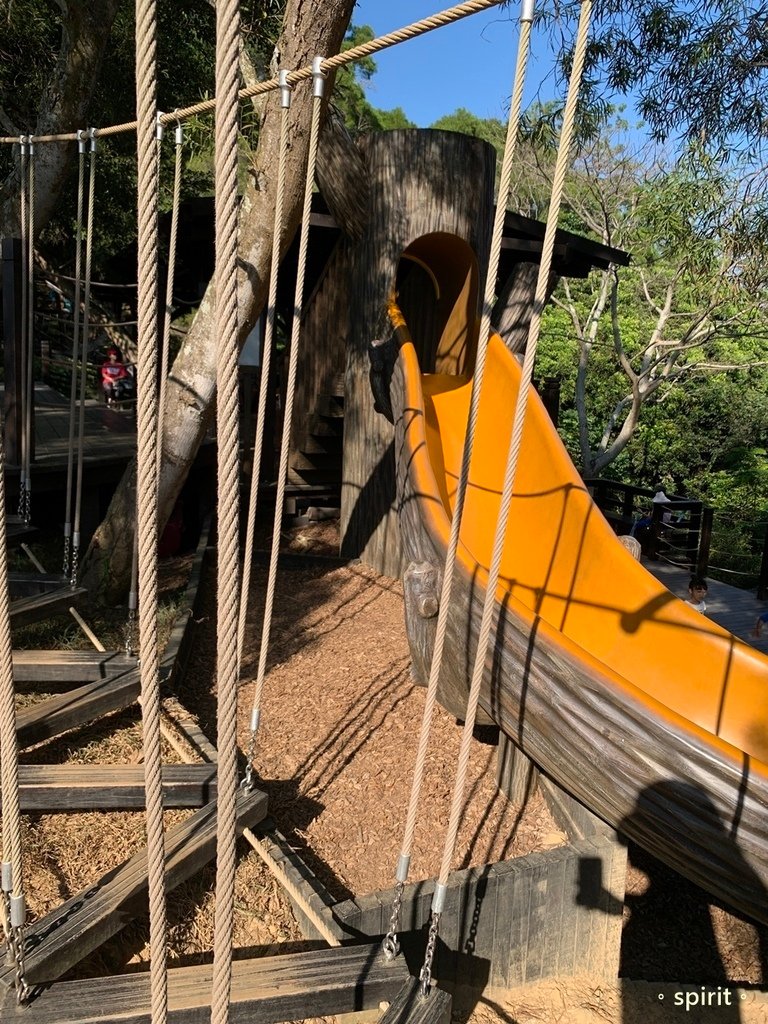 台中大坑風動石公園－森林裡的親子遊樂場＊台中北屯