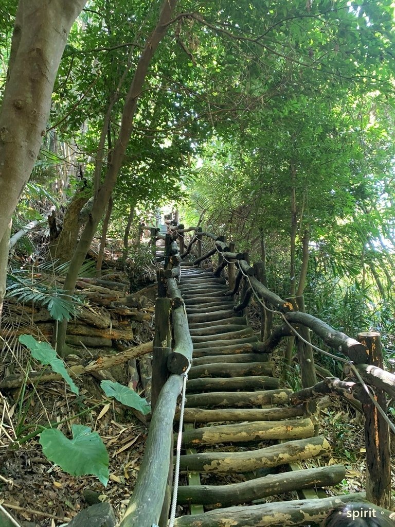 台中大坑風動石公園－森林裡的親子遊樂場＊台中北屯