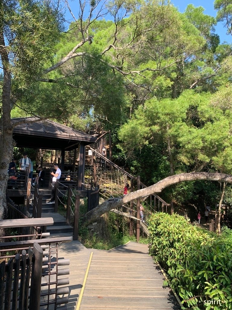 台中大坑風動石公園－森林裡的親子遊樂場＊台中北屯