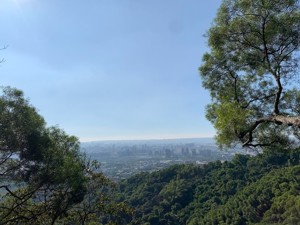 台中大坑風動石公園－森林裡的親子遊樂場＊台中北屯