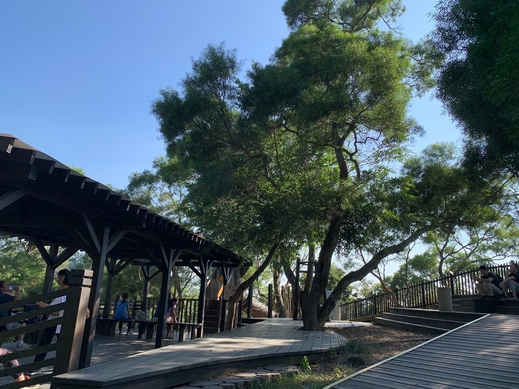 台中大坑風動石公園－森林裡的親子遊樂場＊台中北屯