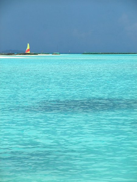 DSCF5647.JPG