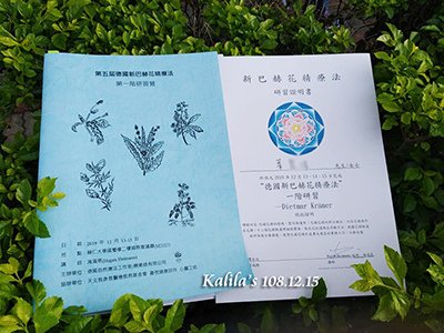 1215新巴赫花精s.jpg