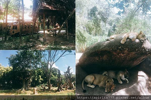 AGUNG動物園Combine-2.jpg