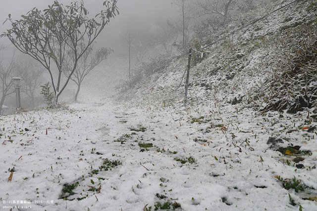 姜麻園下雪 駱駝商旅隊