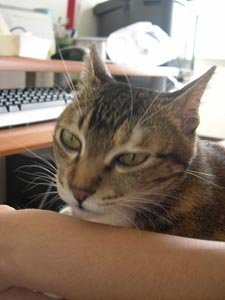 力1.jpg