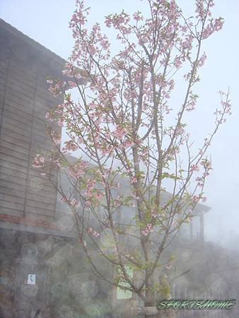 DSC07201.JPG