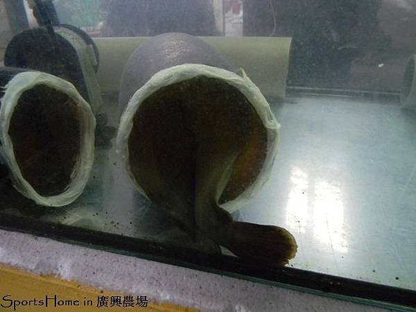 DSCN2112.jpg