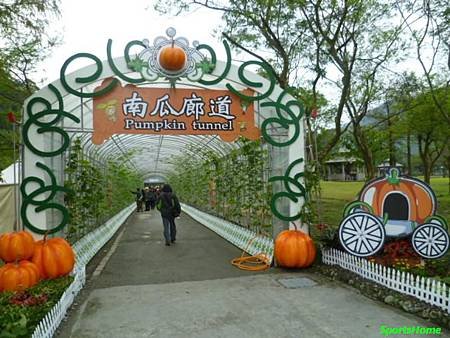 P1000902.JPG