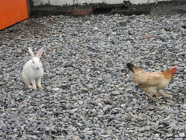 DSCN2129.jpg