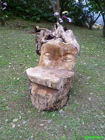 P1000938.JPG
