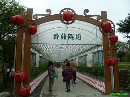 P1000905.JPG