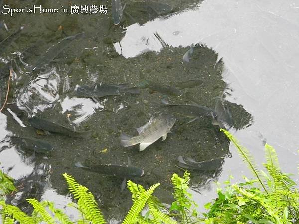DSCN2050.jpg