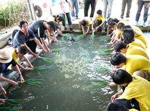 摘自星寶蔥體驗休閒農場