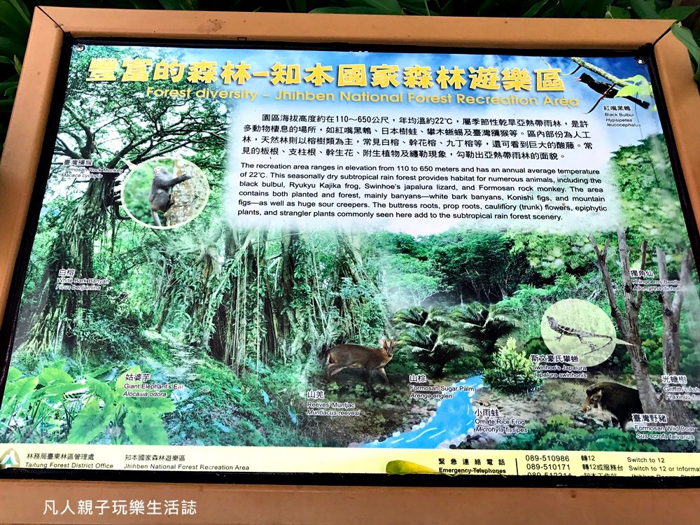 知本森林公園13.JPG