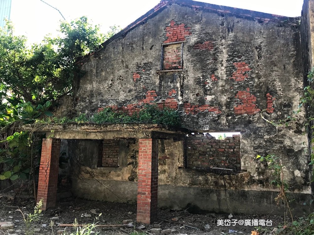 大湖蕃茄會社7.JPG