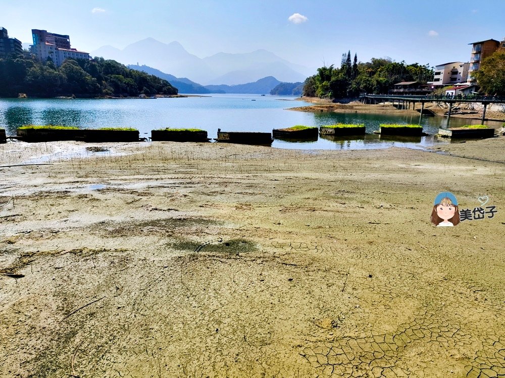 水社自行車道-生命之樹段2.jpg