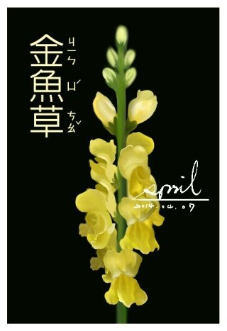 SPRIL-花草系列畫冊-金魚草