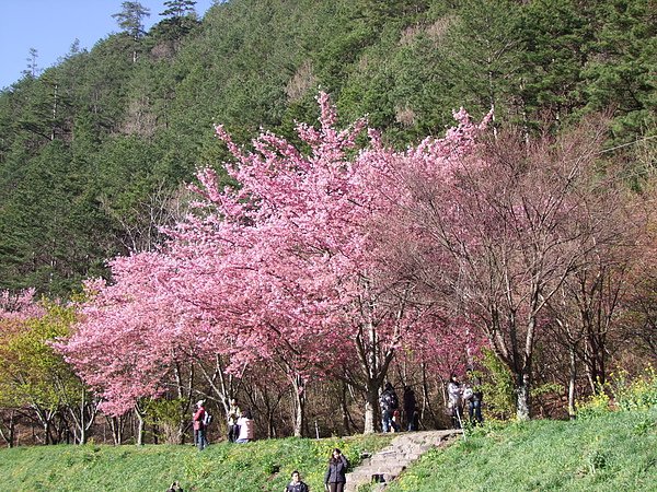 DSCF3112.JPG