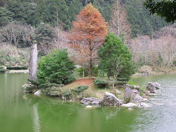 明池森林遊樂園