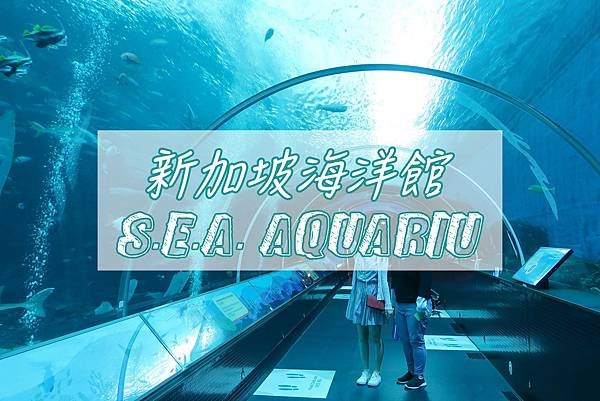 新加坡。一起走進聖淘沙【 S.E.A.海洋馆™ 】的海洋世界