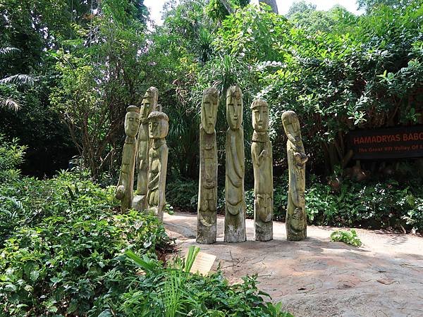 新加坡。親子遊的好去處『新加坡動物園』，超適合讓孩子來這寫學