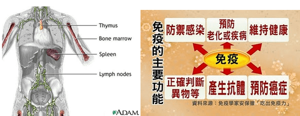 擷取6.PNG