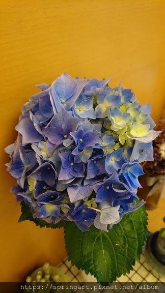 DSC_1396.JPG