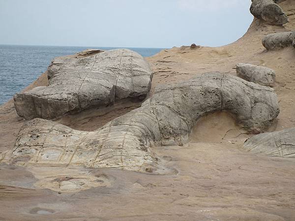 DSCF9342.JPG