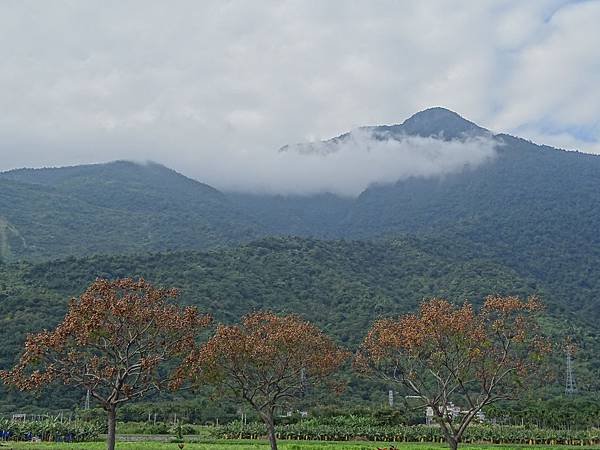 DSC01652.JPG
