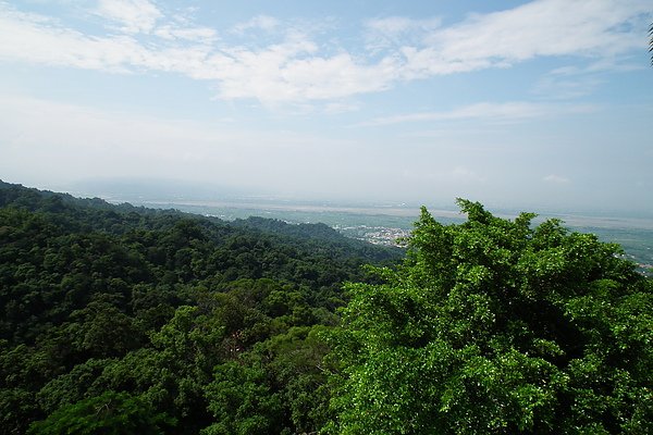 DSCF0785.jpg