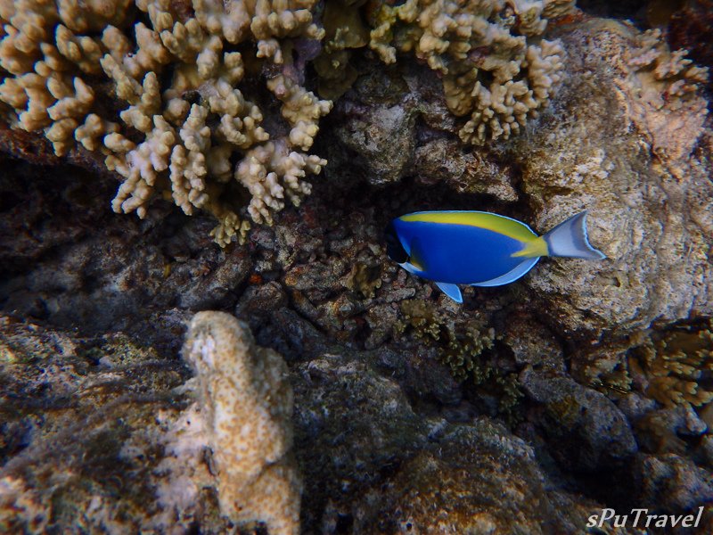 20160408-P4080747